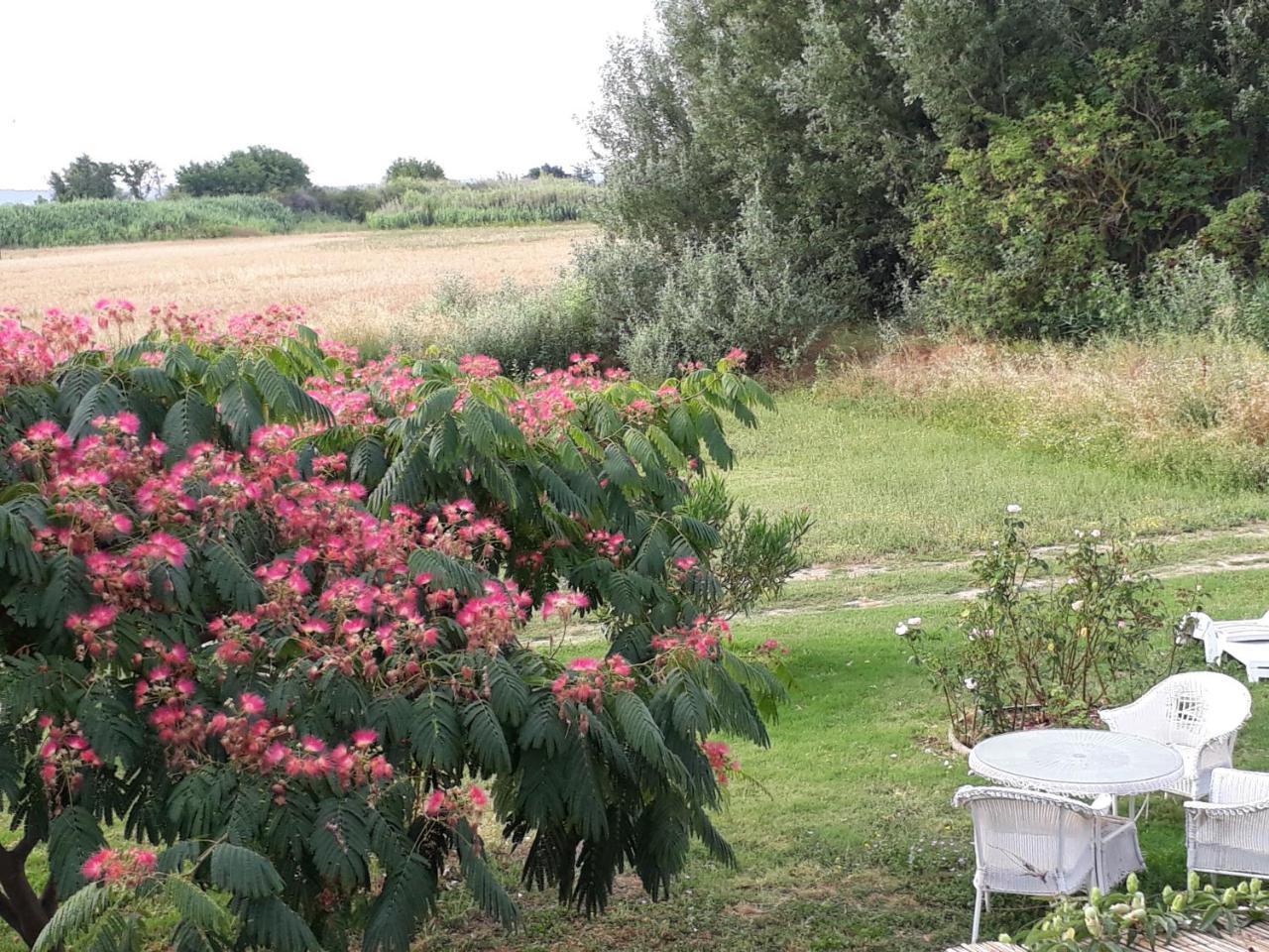 Hotel Aux Roses De L'Etang Capestang Exteriér fotografie