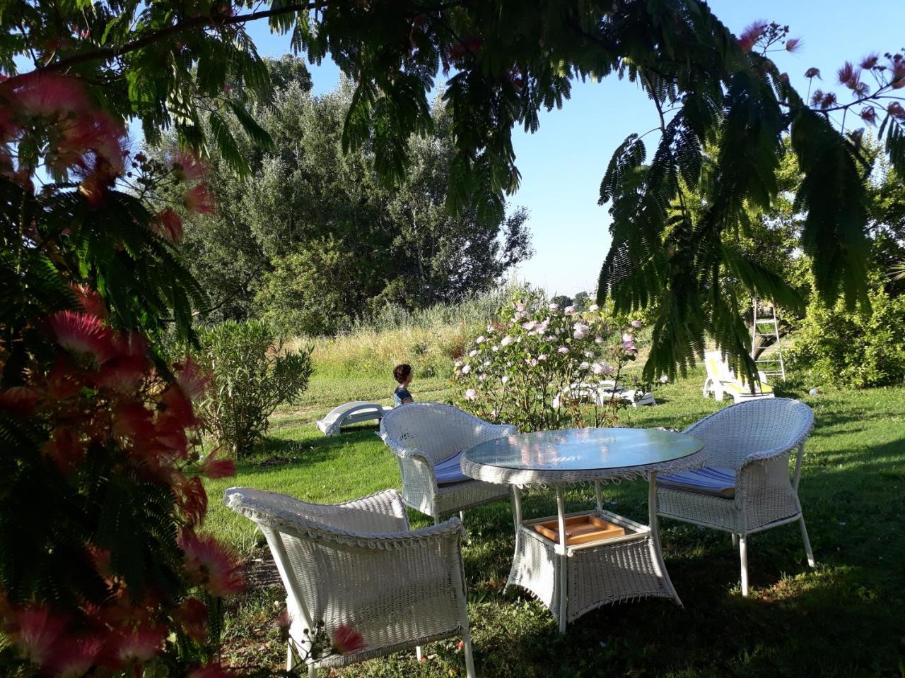 Hotel Aux Roses De L'Etang Capestang Exteriér fotografie